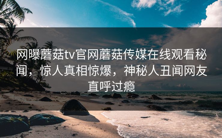 网曝蘑菇tv官网蘑菇传媒在线观看秘闻，惊人真相惊爆，神秘人丑闻网友直呼过瘾