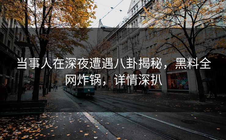 当事人在深夜遭遇八卦揭秘，黑料全网炸锅，详情深扒