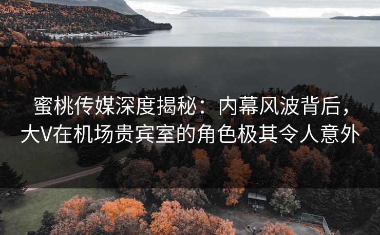 蜜桃传媒深度揭秘：内幕风波背后，大V在机场贵宾室的角色极其令人意外